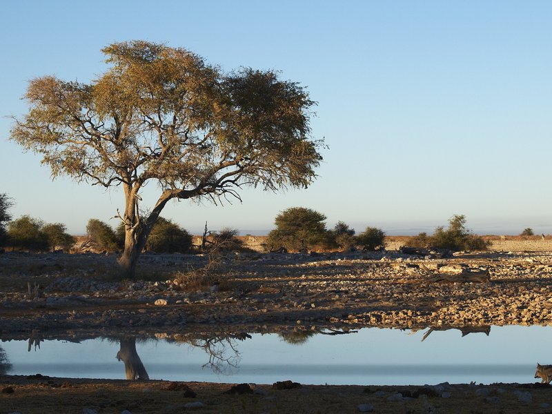 Etosha National Park, Okaukuejo